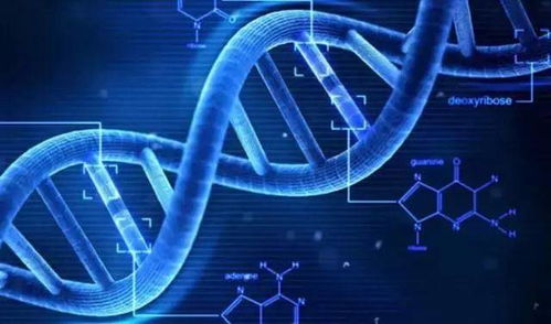 共筑藍海，智創未來 小天使控股集團以網絡技術賦能大健康產業創新